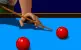 Billiard